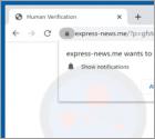 Express-news.me Annunci