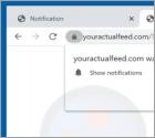 Youractualfeed.com Annunci