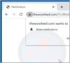 Thewowfeed[.]com Ads