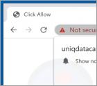 Uniqdatacaptcha.top Ads