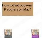 Come scoprire il tuo indirizzo IP su Mac?