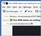 Binance Email Truffa