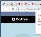 McAfee Total Protection Has Expired POP-UP Truffa