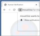 Mous0.biz Annunci