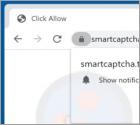 Smartcaptcha.top Ads