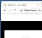 Norton - Your Phone May Be Receiving Many Spam Texts POP-UP Truffa