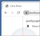 Pushycaptcha.live Annunci