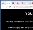 McAfee - Your Card Payment Has Failed! POP-UP Truffa