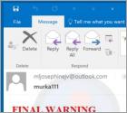 Final Warning Email Truffa