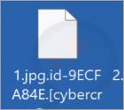 CY3 Ransomware
