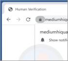 Mediumhiquality.com Annunci