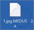MEDUSA Ransomware