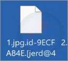 Jerd Ransomware
