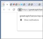 Greatcaptchanow.top Annunci