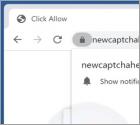 Newcaptchahere.top Annunci