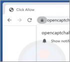 Opencaptchahere.top Annunci
