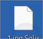 Solix Ransomware