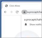 Procaptchahub.top Annunci
