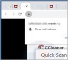 CCleaner Total Protection POP-UP Truffa