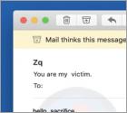Hello, Sacrifice. This Is My Last Warning!!! Email Truffa