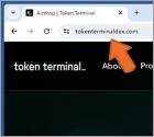 Token Terminal's Airdrop Truffa