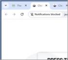 Cavernexplorer.com Annunci