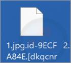 Dkq Ransomware