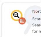Falsa Norton Safe Search Enhanced Estensione