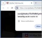 Primewallsecurity.co.in Annunci