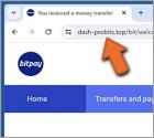 Falso BitPay Wallet Truffa
