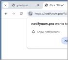 Notifynow.pro Annunci