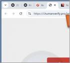 Attempt To Log Into Your Gmail Account Truffa