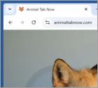Animaltabnow.com Dirottatore