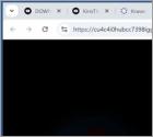 Networkspeedchain.co.in Annunci