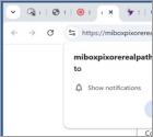 Miboxpixorerealpath.com Annunci