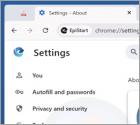 EpiStart (EpiBrowser) Applicazione indesiderata
