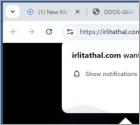 Irlitathal.com Annunci