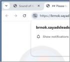 Sayadsleads.top Annunci