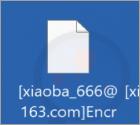 XIAOBA 2.0 Ransomware