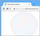 Thesmartsearch.net Dirottatore