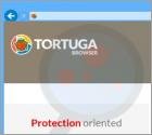 Annunci di Tortuga