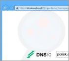 Dnsioweb.net Dirottatore