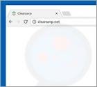 Cleanserp.net Dirottatore