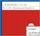 Microsoft System Security Alert Scam
