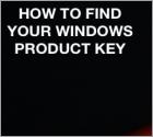 Come trovare il codice prodotto del tuo prodotto Windows o Office?