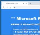 ERROR # MS-0x8024402C POP-UP Truffa