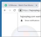 Hajoopteg.com POP-UP Dirottatore