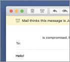 I'm A Programmer Who Cracked Your Email Truffa