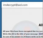 IMI Ransomware