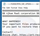 njkwe RaaS corporation Ransomware